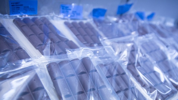 �wi�to Czekolady