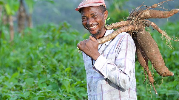 Nestl� og�asza konkurs w ramach Tworzenia Wsp�lnej Warto�ci