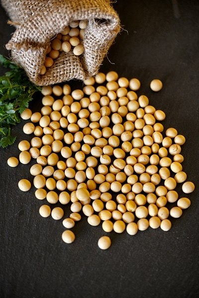 Fotolia_146114085_L Fotolia_146114085_L