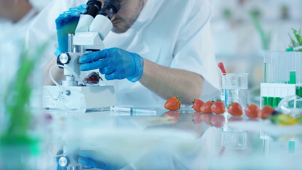 videoblocks-4k-food-science-researchers-working-in-lab-man-injecting-chemicals-into-fruit_h78nkgvcl_thumbnail-full01 videoblocks-4k-food-science-researchers-working-in-lab-man-injecting-chemicals-into-fruit_h78nkgvcl_thumbnail-full01