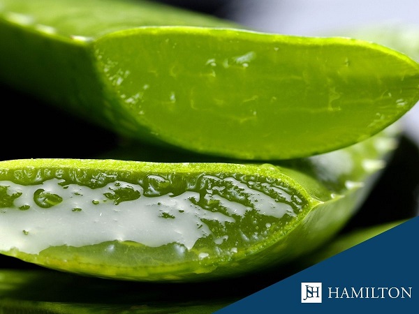 Badania �ywnosci szablon post poziom(21) (002)