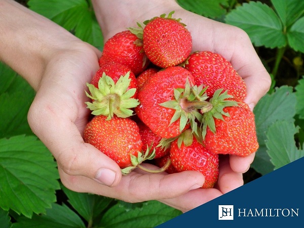 Badania �ywnosci szablon post poziom(34) (002)