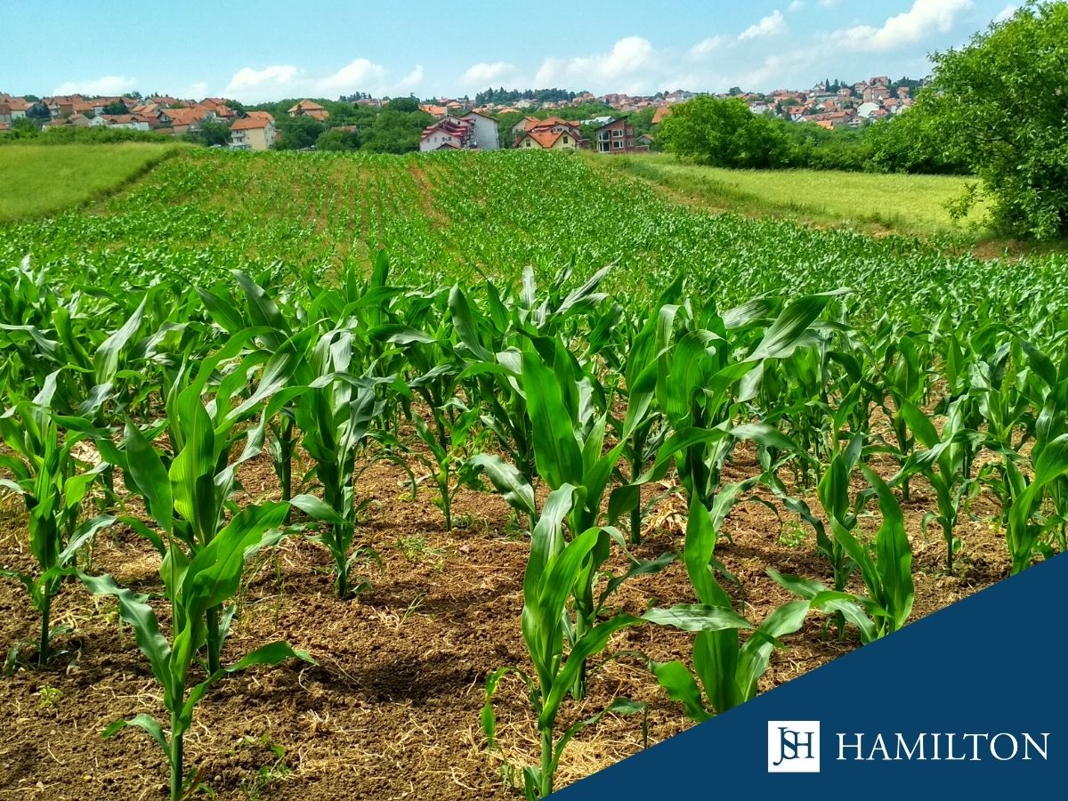 Badania �ywno�ci szablon post poziom(4)