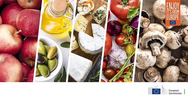 news-hlm-vietnam-singapore_800x418px news-hlm-vietnam-singapore_800x418px